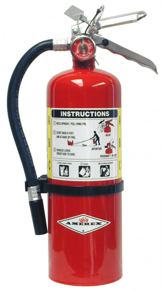 6LB Standard Dry Chemical with Wall Hook